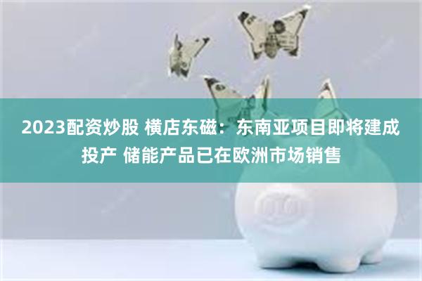 2023配资炒股 横店东磁：东南亚项目即将建成投产 储能产品已在欧洲市场销售