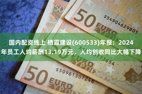 国内配资线上 栖霞建设(600533)年报：2024年员工人均薪酬13.19万元，人均创收同比大幅下降