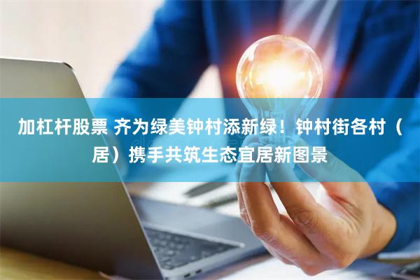 加杠杆股票 齐为绿美钟村添新绿！钟村街各村（居）携手共筑生态宜居新图景