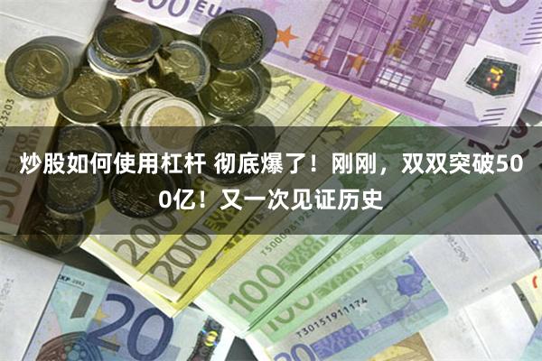 炒股如何使用杠杆 彻底爆了！刚刚，双双突破500亿！又一次见证历史