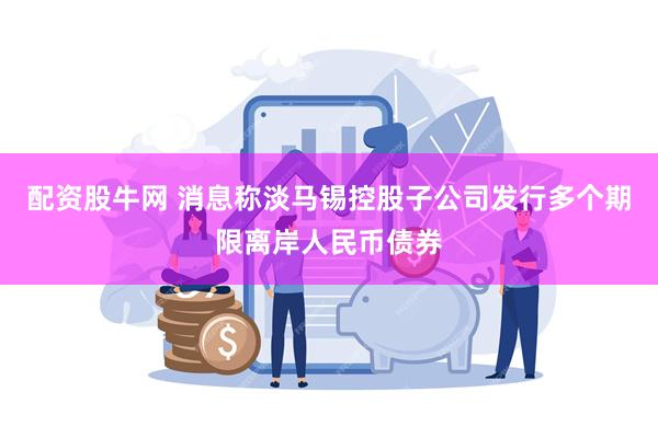 配资股牛网 消息称淡马锡控股子公司发行多个期限离岸人民币债券