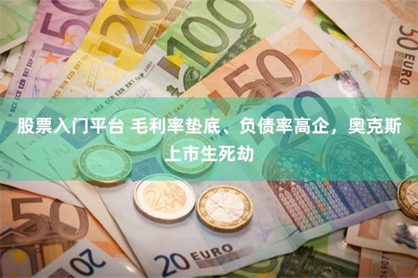 股票入门平台 毛利率垫底、负债率高企，奥克斯上市生死劫