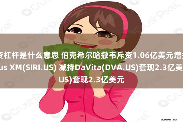 配资杠杆是什么意思 伯克希尔哈撒韦斥资1.06亿美元增持Sirius XM(SIRI.US) 减持DaVita(DVA.US)套现2.3亿美元