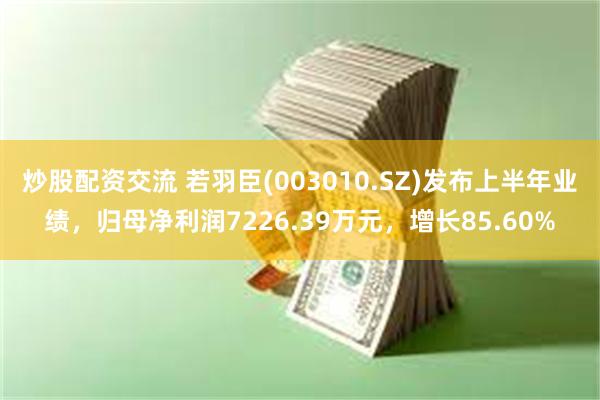 炒股配资交流 若羽臣(003010.SZ)发布上半年业绩，归母净利润7226.39万元，增长85.60%